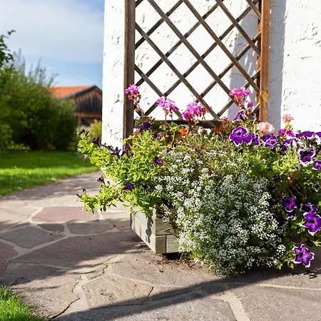 Apartment Near The Halblech Trauchgau