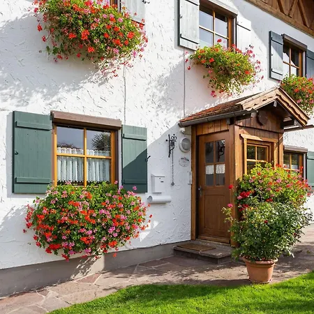 Near The Halblech *