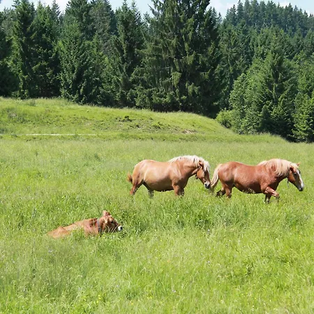 Alpenapartment Mit Garten