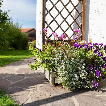 Alpenapartment Mit Garten Trauchgau